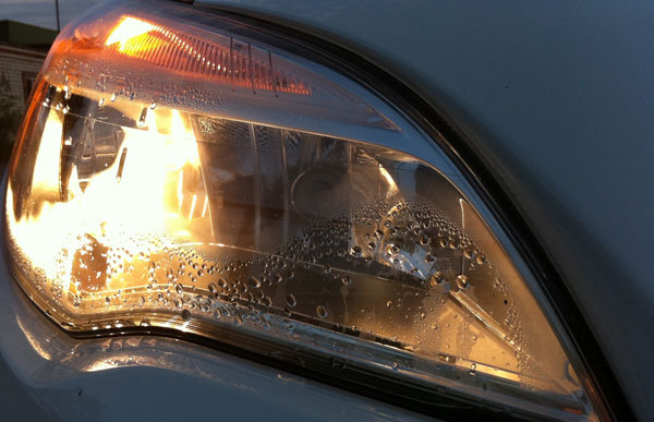 �������� ���� ����� ������� ��